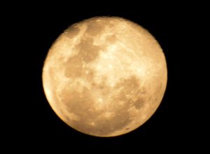 Muzhu Nilavu Vazhibadu @ Yogasana Alayam